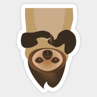 Upside down Sloth Sticker